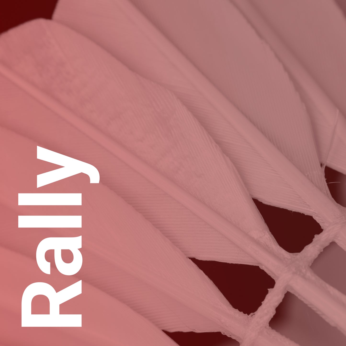 Rally